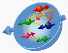 parton spin in nuclei